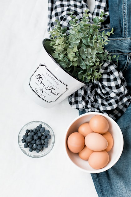The Joy of Homesteading